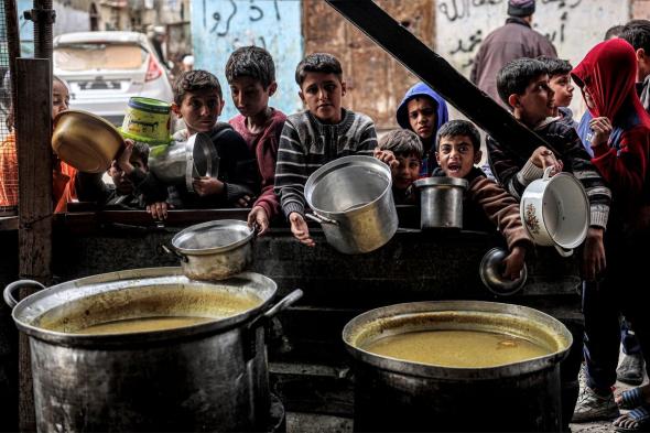 الأمم المتحدة: نصف سكان غزة يواجهون انعدامًا شديدًا في الأمن الغذائي