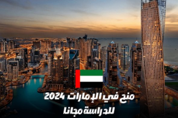 كيف احصل على منحة دراسية مجانية في الإمارات